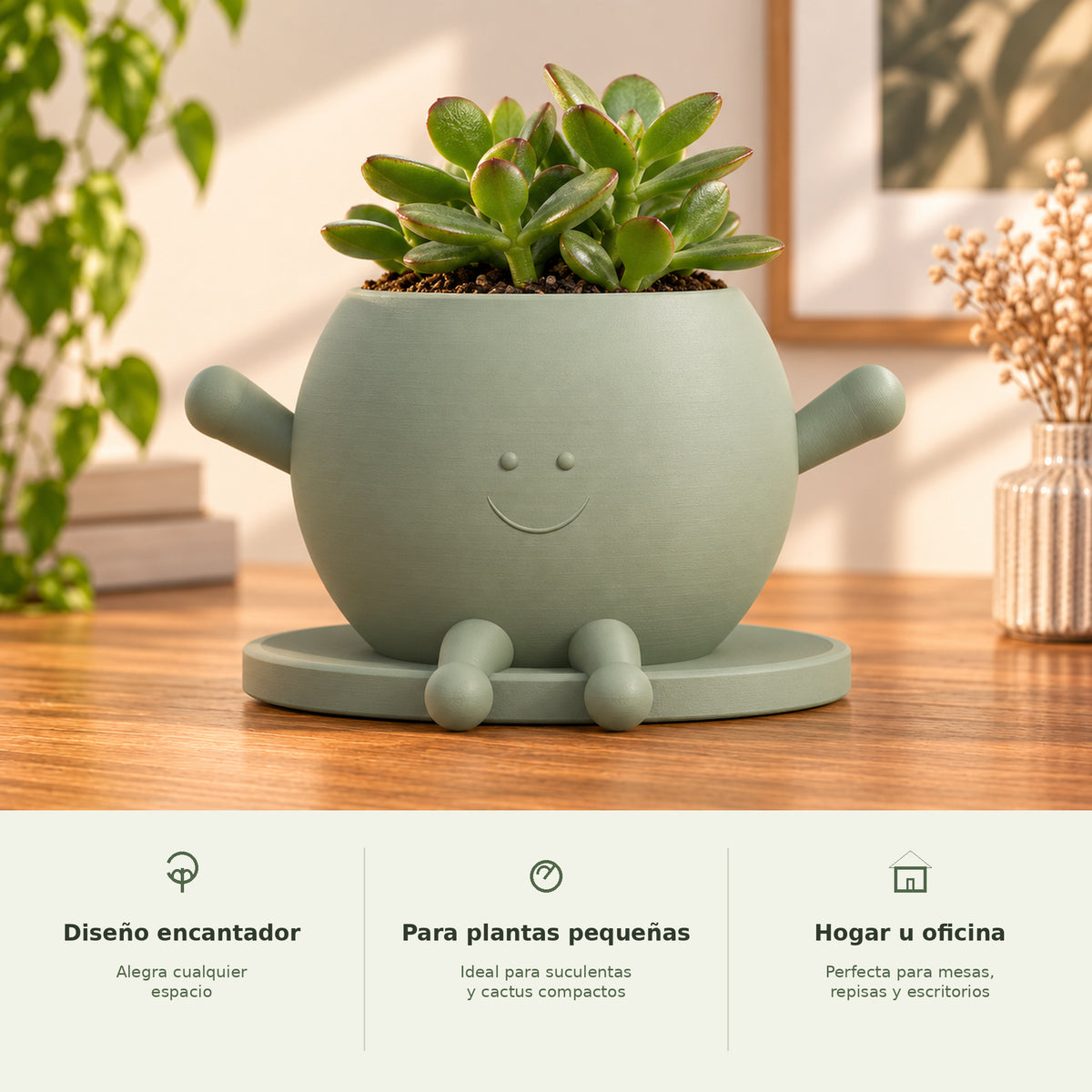 Maceta personaje redonda verde salvia con beneficios para plantas pequeñas y decoración