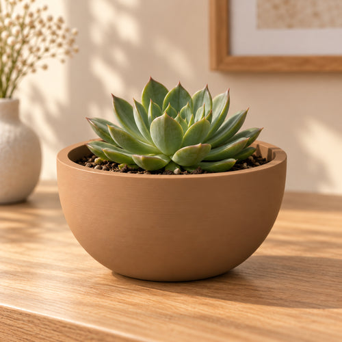 Base para maceta bowl color terracota con suculenta en ambiente cálido