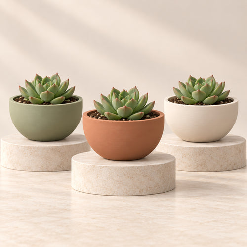 Base para maceta bowl en verde salvia, terracota y marfil