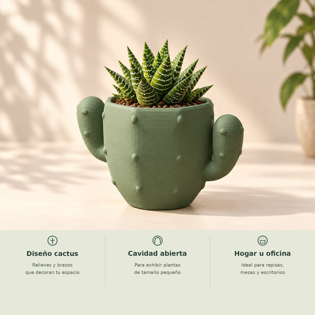 Maceta de cactus verde salvia con planta pequeña y tres beneficios de diseño y uso