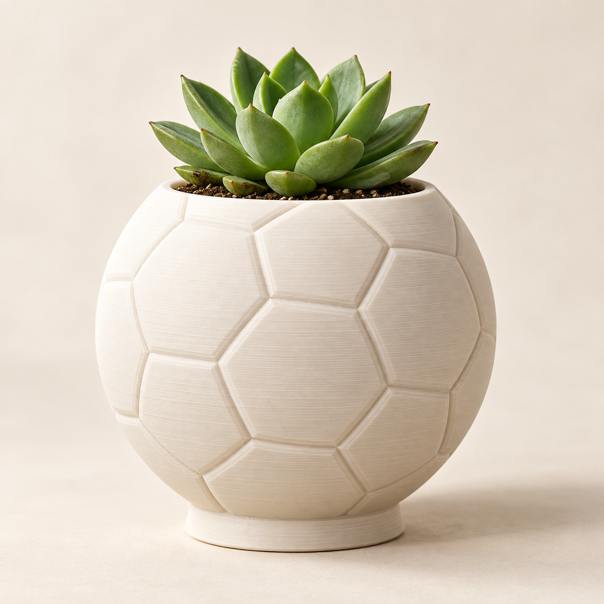 Maceta balón de fútbol 3D blanca con suculenta