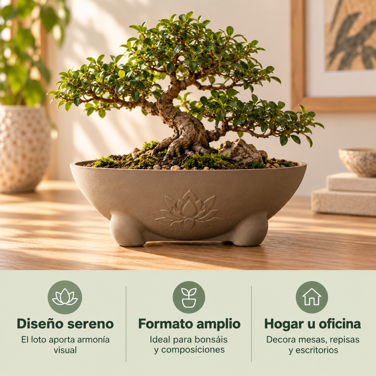 Maceta bowl para bonsái con formato amplio, diseño sereno y uso decorativo