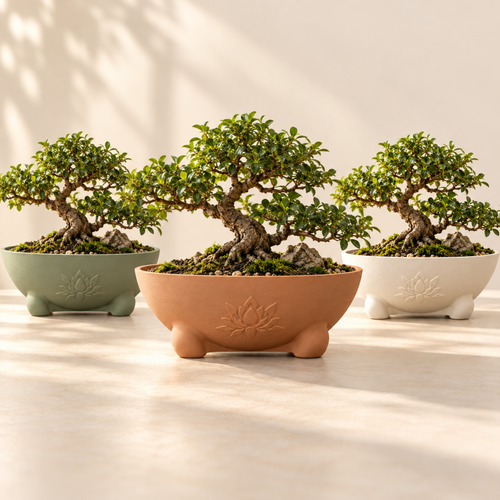 Maceta bowl con relieve de loto en verde salvia, terracota y marfil