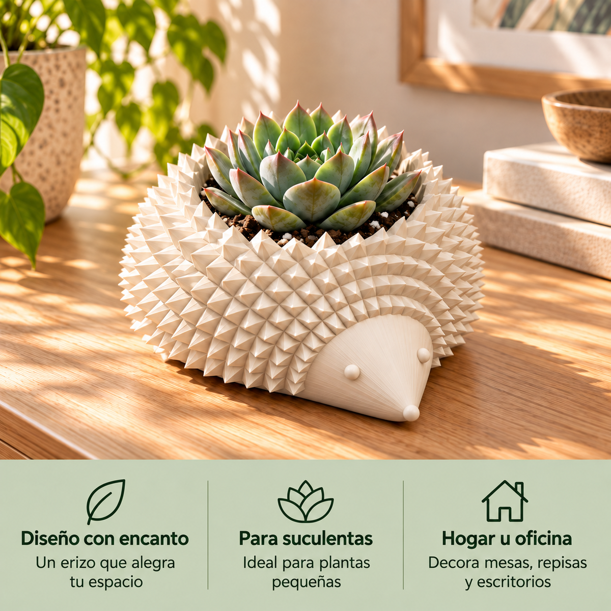 Maceta erizo marfil con beneficios: diseño con encanto, para suculentas y hogar u oficina
