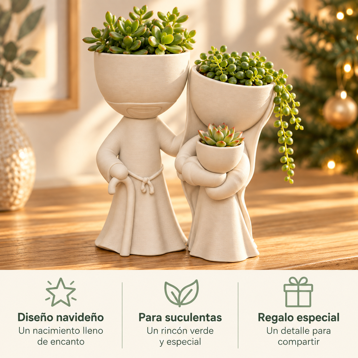 Maceta nacimiento con beneficios de decoración, plantas y regalo