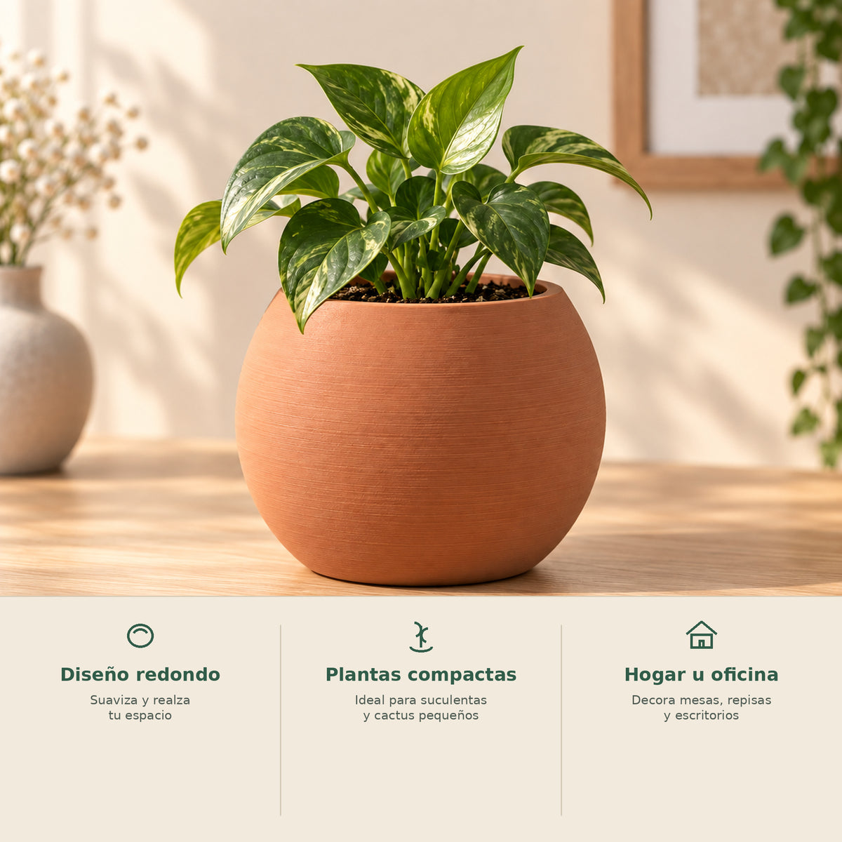 Matera redonda decorativa con beneficios para plantas compactas y espacios interiores